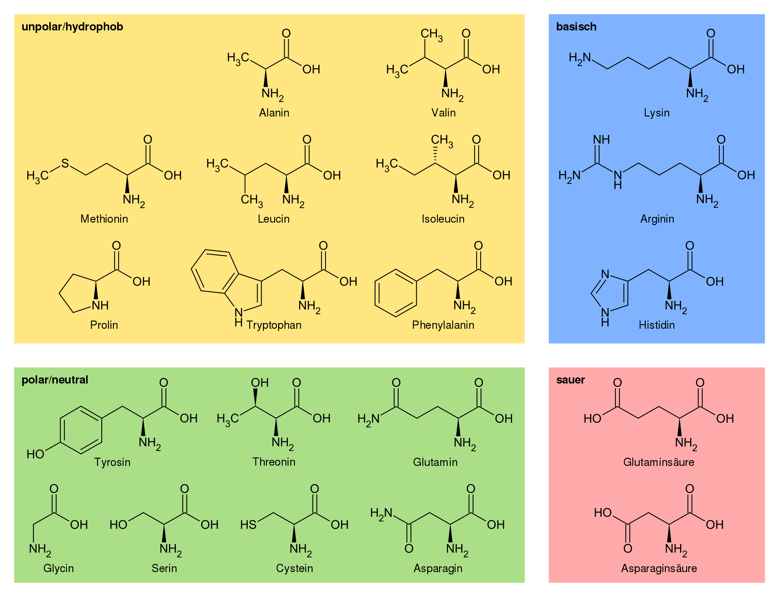 amino_acids