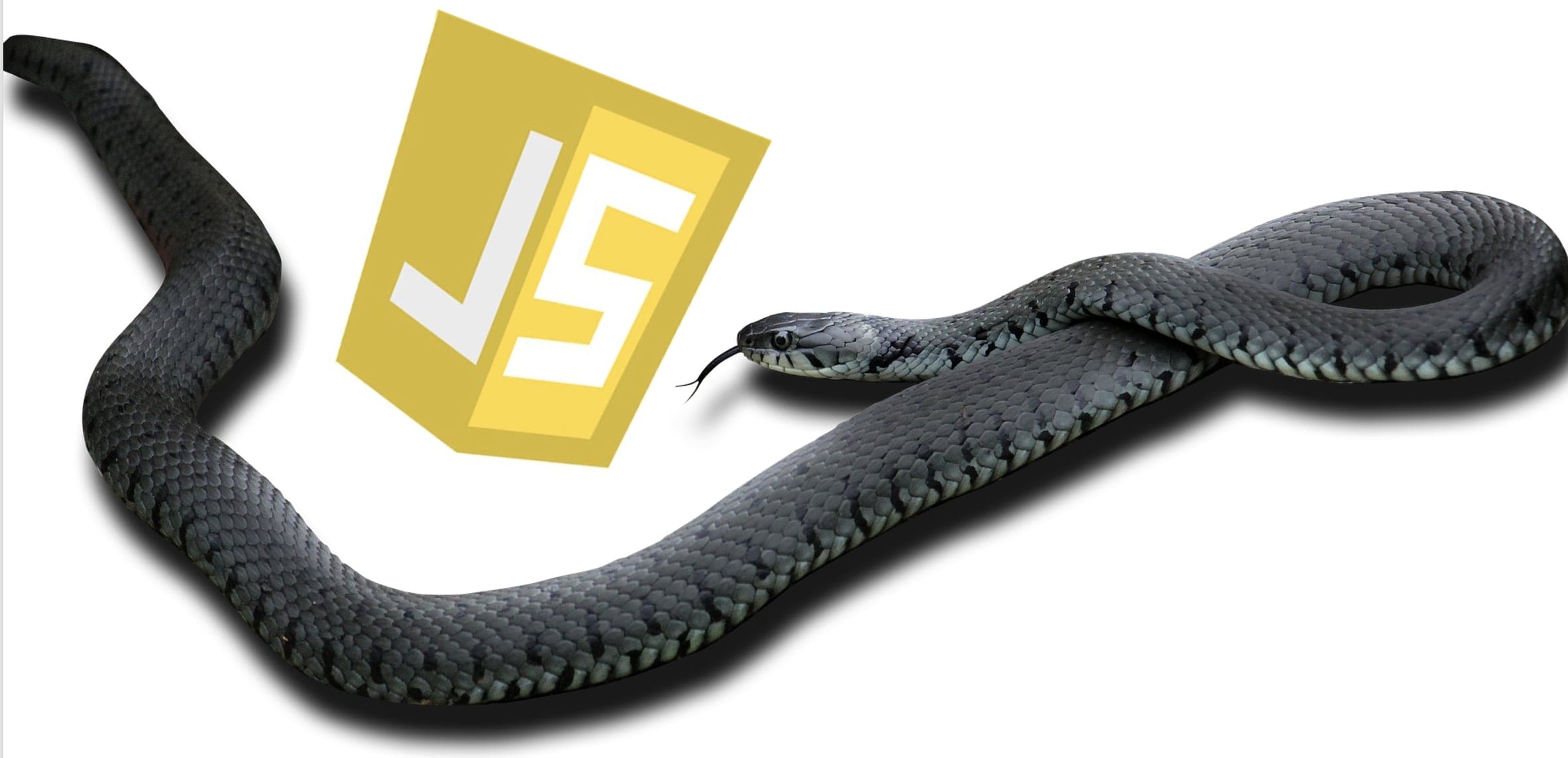 JS vs Python - Destructuring