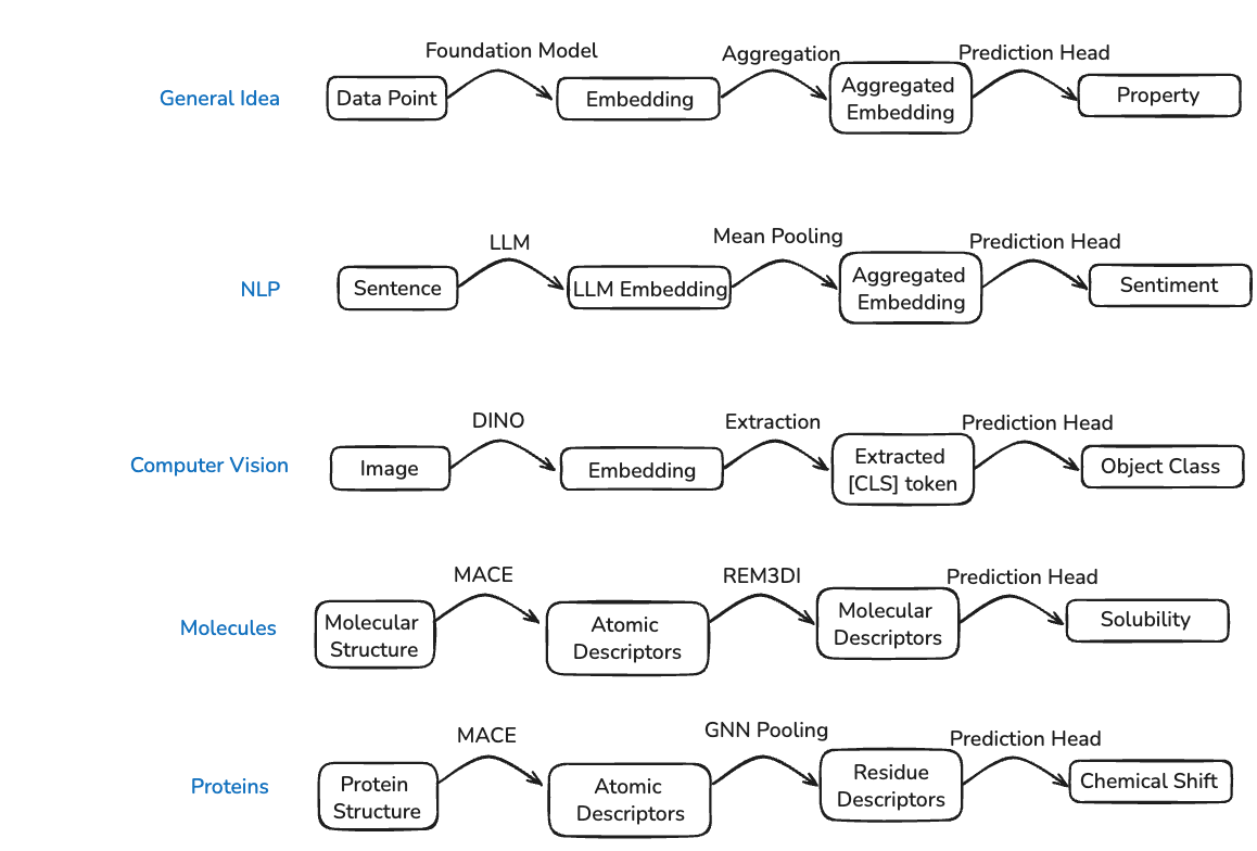 Foundation model embeddings across domains